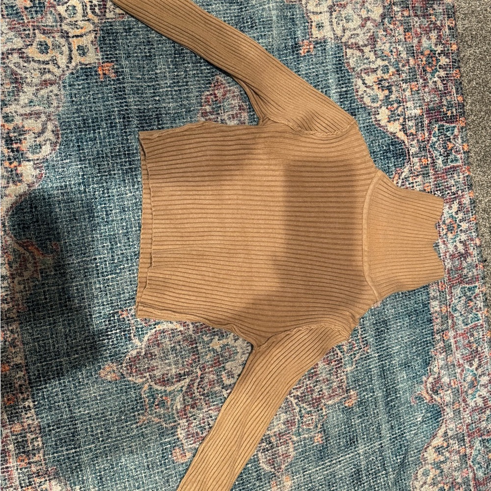 Lizard thicket cropped turtle neck